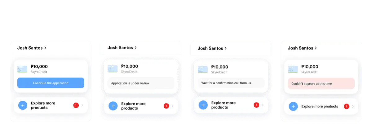 SkyroCredit application status