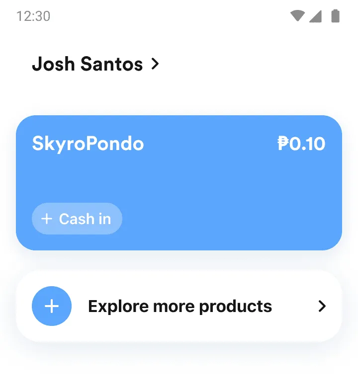 SkyroPondo balance check